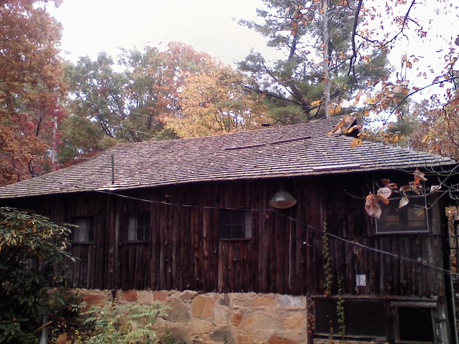 Weathered wood shake roof on a rustic board sided cabin in Jonesville